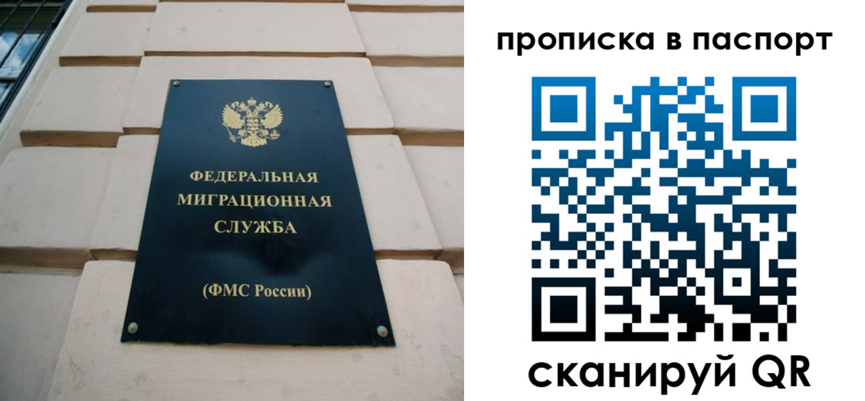 найти адрес прописки в Брянской области